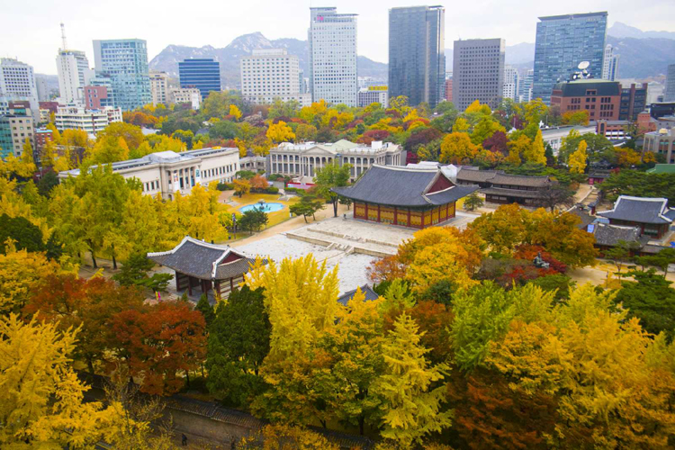 Hàn Quốc rực rỡ thu vàng – vô vàn quyến rũ